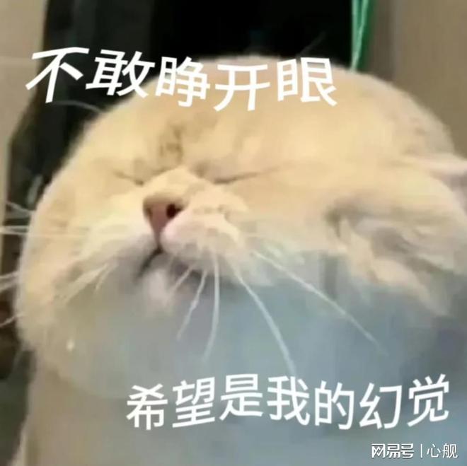 ”破局5大产品差异化技巧全面拆解mg不朽情缘游戏登录入口“价格战(图3)